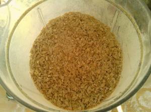 11942160_1689649047934574_252575866089032972_o